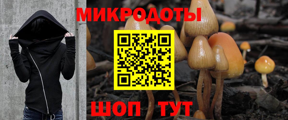 Псилоцибиновые грибы Magic Shrooms  Вход с VPN  купить закладку  Грязи  Галлюциногенные грибы Psilocybe 